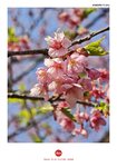 IMG_20250323_101758