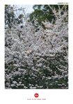 IMG_20250323_141705