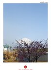 IMG_20250325_082208