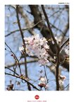 IMG_20250325_104317