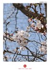 IMG_20250325_104329