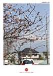 IMG_20250325_104406