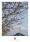 IMG_20250325_104412