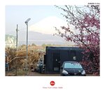 MVIMG_20250325_070544