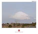 MVIMG_20250325_082301
