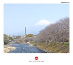 MVIMG_20250325_105353