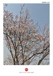 IMG_20250326_151817