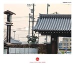 MVIMG_20250326_174908