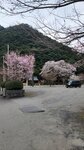 20250327_085017