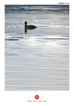 MVIMG_20250328_091652