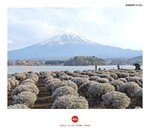 MVIMG_20250328_162852