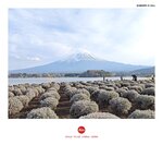 MVIMG_20250328_162900