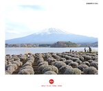 MVIMG_20250328_162911