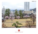 MVIMG_20250329_120628