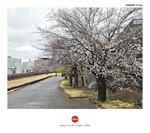 MVIMG_20250329_121002