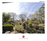 MVIMG_20250330_094741