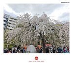 MVIMG_20250330_161913