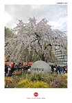 MVIMG_20250330_162014