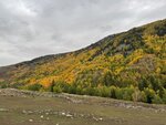 IMG-20250930-WA0097