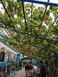 MVIMG_20250923_114742