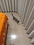 IMG_20250925_223523