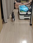 IMG_20250925_223531