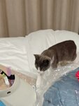 IMG_20250925_223621