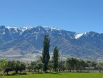IMG-20250925-WA0000