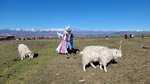 IMG-20250926-WA0079