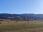 MVIMG_20250925_185108