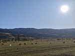 MVIMG_20250925_185111
