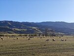 MVIMG_20250925_185118