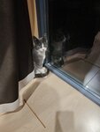 MVIMG_20250925_222556