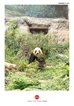 IMG_20250411_120853
