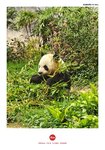 IMG_20250411_121216