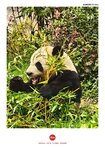 IMG_20250411_121225