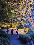 IMG_20260413_191158