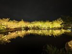 IMG_20260413_192920