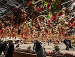 IMG_20260413_193204