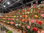 IMG_20260413_193335