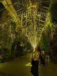 IMG_20260413_193920