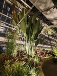 IMG_20260413_194154