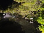 IMG_20260413_202628