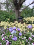 IMG_2404
