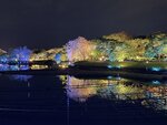 IMG_2432