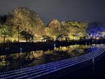 IMG_2433