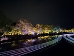 IMG_2434