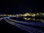 IMG_2435