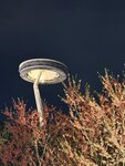 IMG_2450
