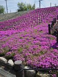 IMG_20260414_094535